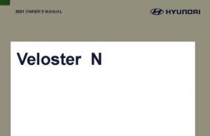 2021 Hyundai Veloster N Owner's Manual