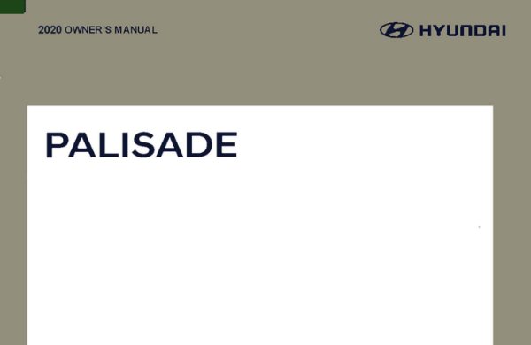 2020 Hyundai Palisade Owner's Manual