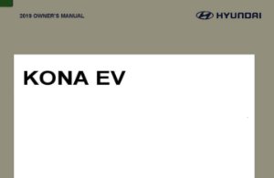 2019 Hyundai Kona EV Electric Owner's Manual