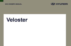 2019 Hyundai Veloster Owner's Manual