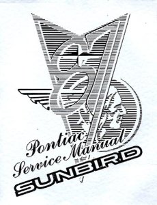 1987 Pontiac Sunbird Factory Shop Service Manual