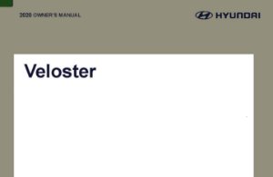 2020 Hyundai Veloster Owner's Manual