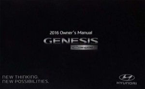 2016 Hyundai Genesis Owner's Manual