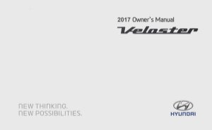 2017 Hyundai Veloster Owner's Manual